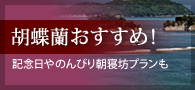 胡蝶蘭おすすめ