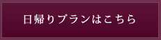 日帰り温泉プラン